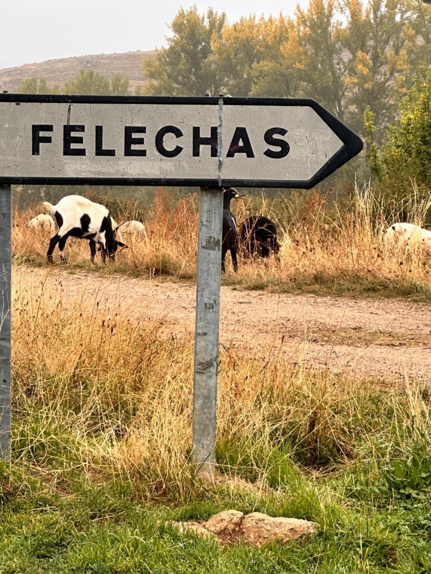 Los Tres Horreos Felechas المظهر الخارجي الصورة